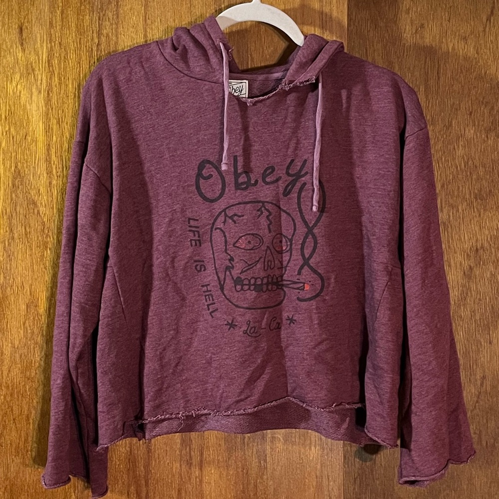 OBEY Wasson Hoodie “Life Is Hell” Sz S